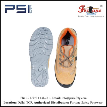 Psi Safety solution PVt Ltd